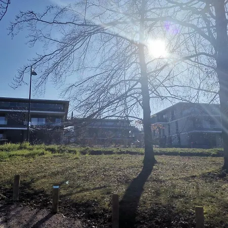 Reflets Leman Corzent Apartment Thonon-les-Bains